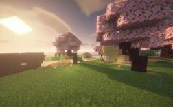 Скриншот сервера Майнкрафт FloraSMP