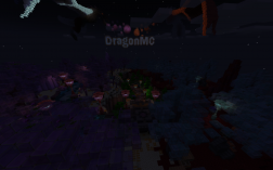 Скриншот сервера Майнкрафт DragonMC